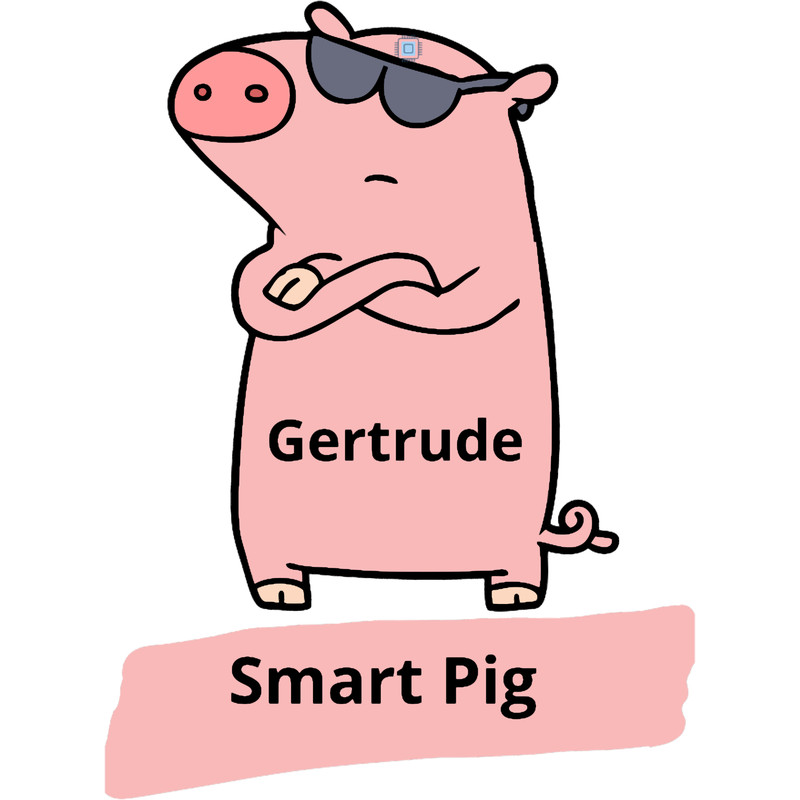 Gertrude- Smart Pig.png