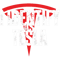 I identify as a TESLA .png