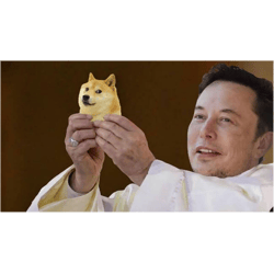 priest elon musk holding doge meme