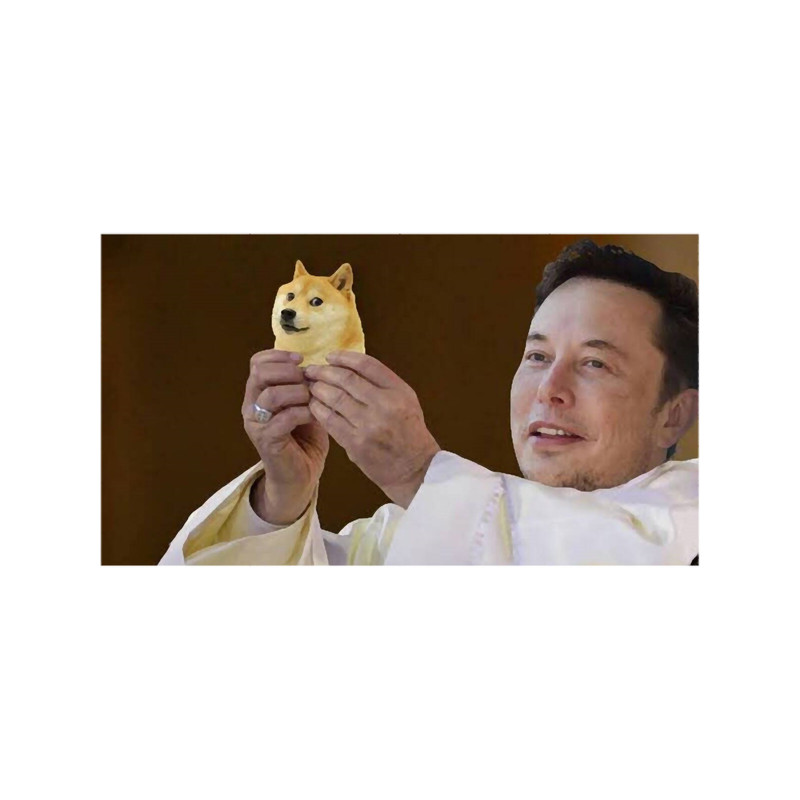 Priest Elon Musk holding Doge MEME.png