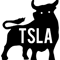 TSLA Bull - Tesla Stock - Elon Musk.png