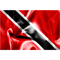 Trinidad and Tobago Flag (3).png