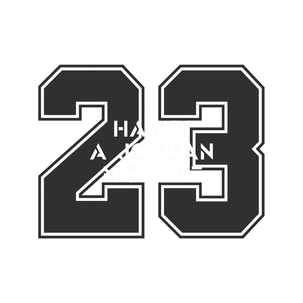 Jordan Moment 23.png