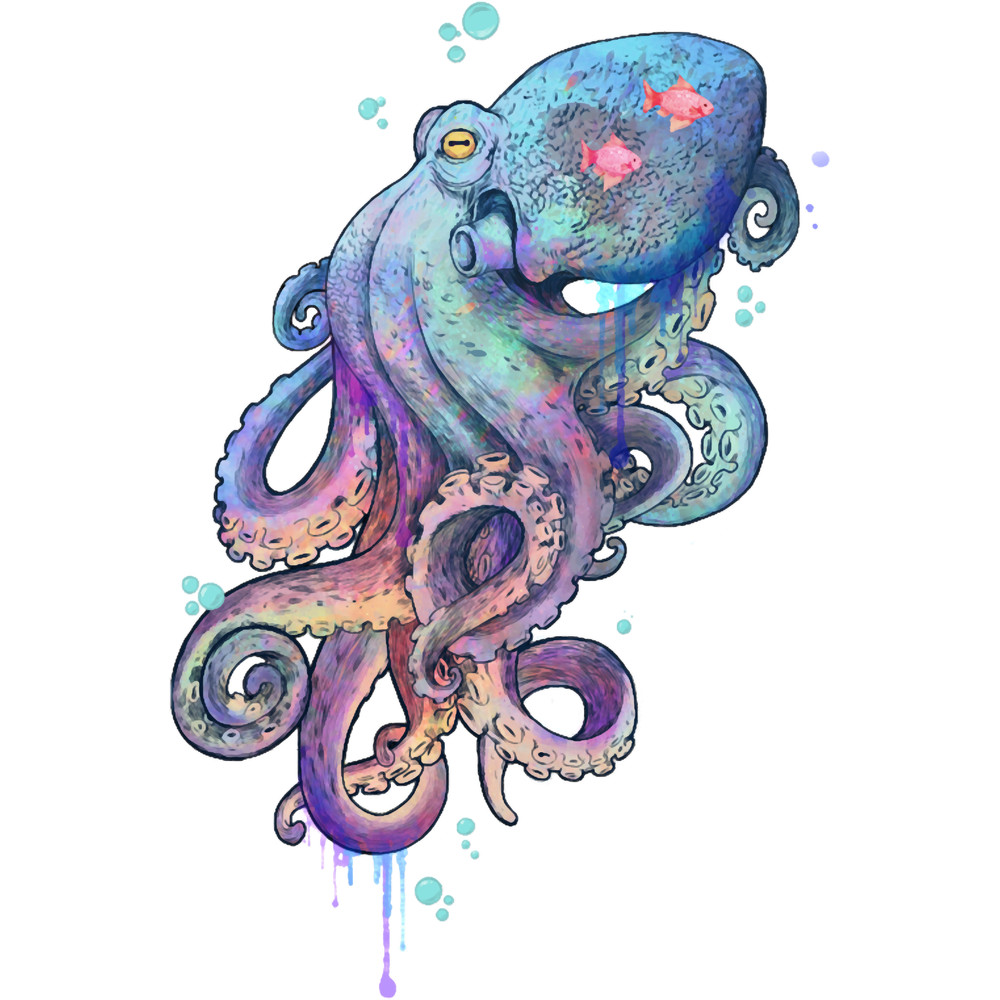 octopus .png