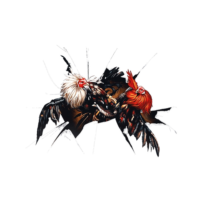 Cock fighting.png