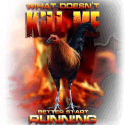 gamefowl farm rooster cockfighting enthusiast gamecock gallero cockfight sabong asiltshit