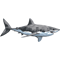 Great White Shark.png