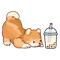Cute Little Shiba Loves Boba! .png