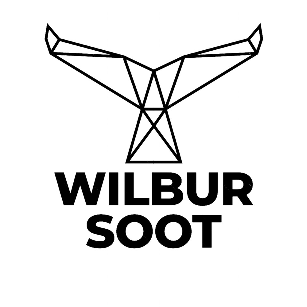 wilbur soot merch new wilbur soot .png