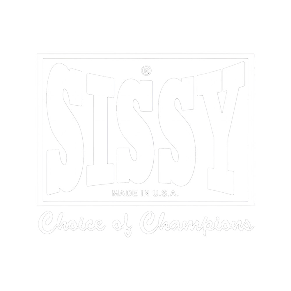 Stone Gossard - SISSY.png