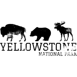 bison bear moose yellowstone national park moose i love hiking