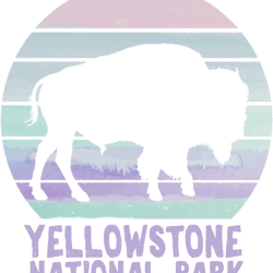 Yellowstone National Park Bison Buffalo