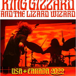 best of king gizzard and the lizard wizard are an australian rock (13)
