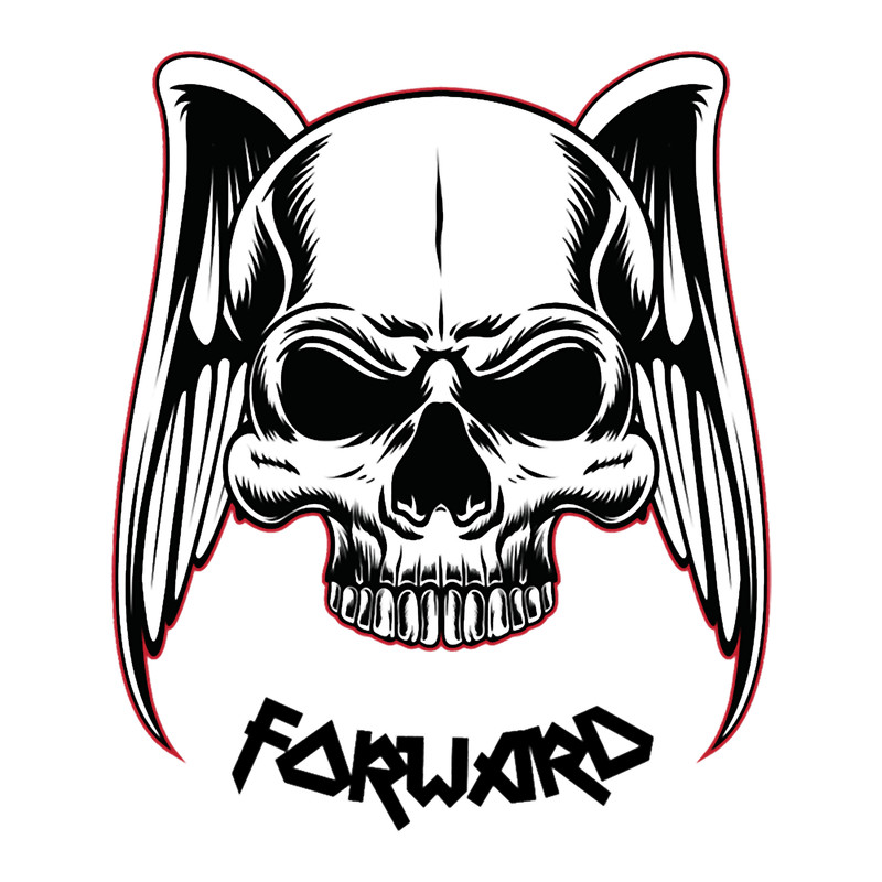 Forward observation .png