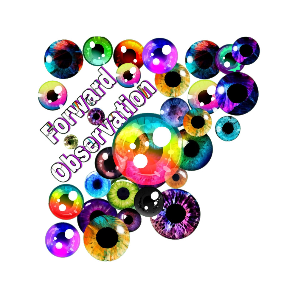 forward observation Chiffon Top.png