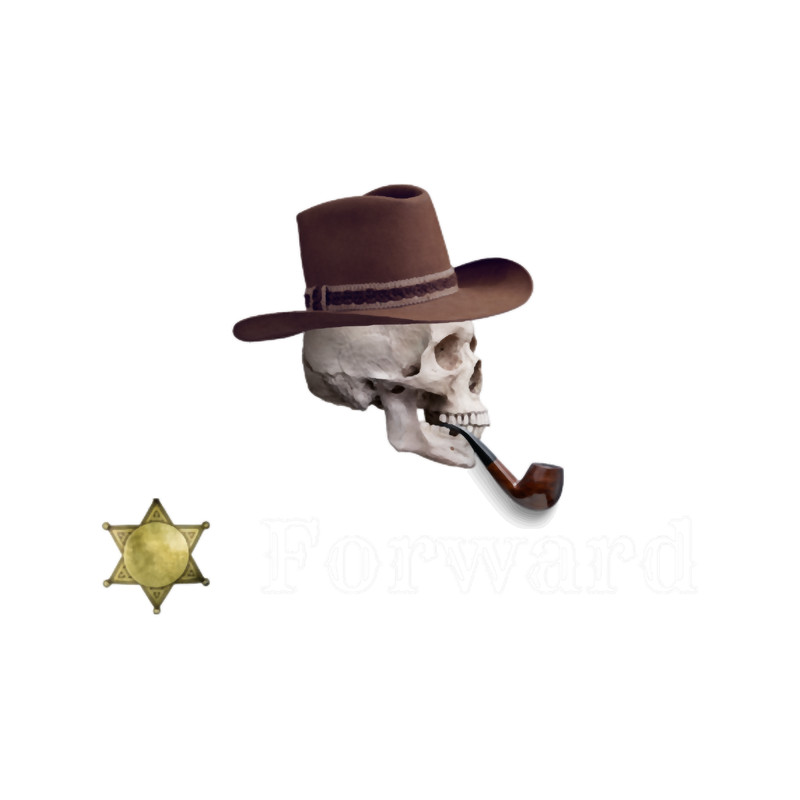 Forward Observation Group (2).png