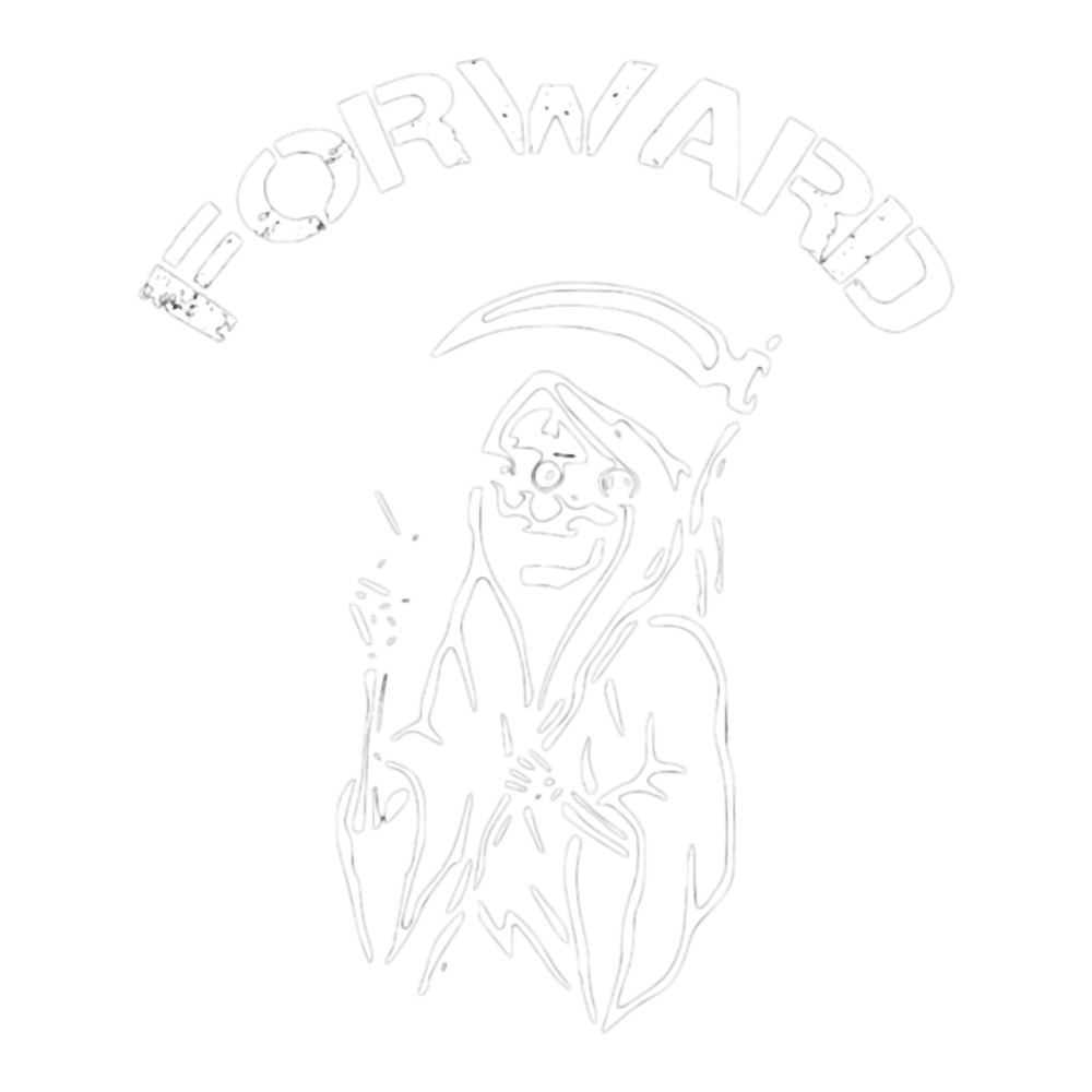 Forward Observations Group (1).png