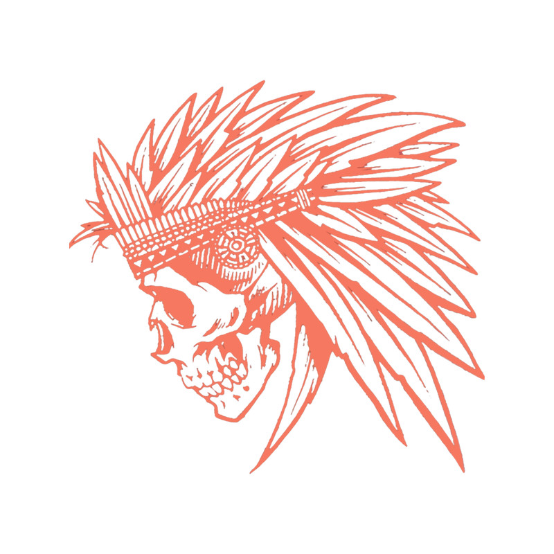 Tribe Sk8z skull forward observations group FOG gbrs 13 F army Classic .png