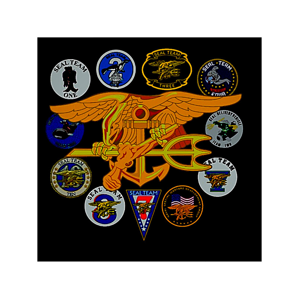 US devgru seal team logo.png