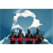 We can protect our country and love.png
