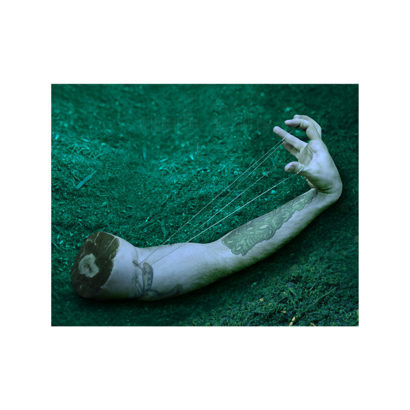 jerry cantrell degradation trip cover artwork.png