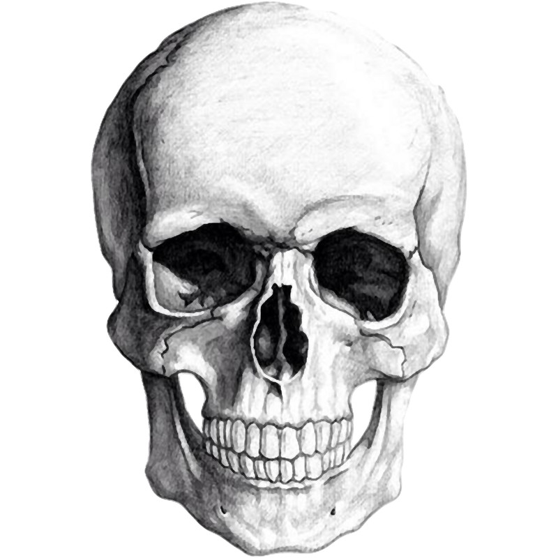 Skull.png