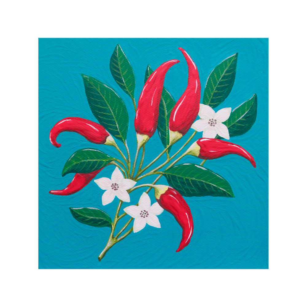 Red Hot Chilli Peppers Classic(2).png