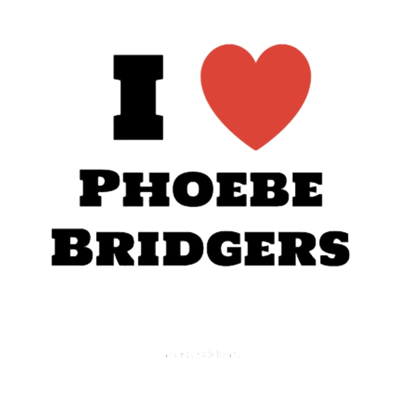 i love (heart) phoebe bridgers case !! .png