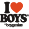 i love boys (boygenius).png
