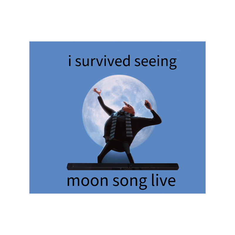 i survived seeing moon song live.png
