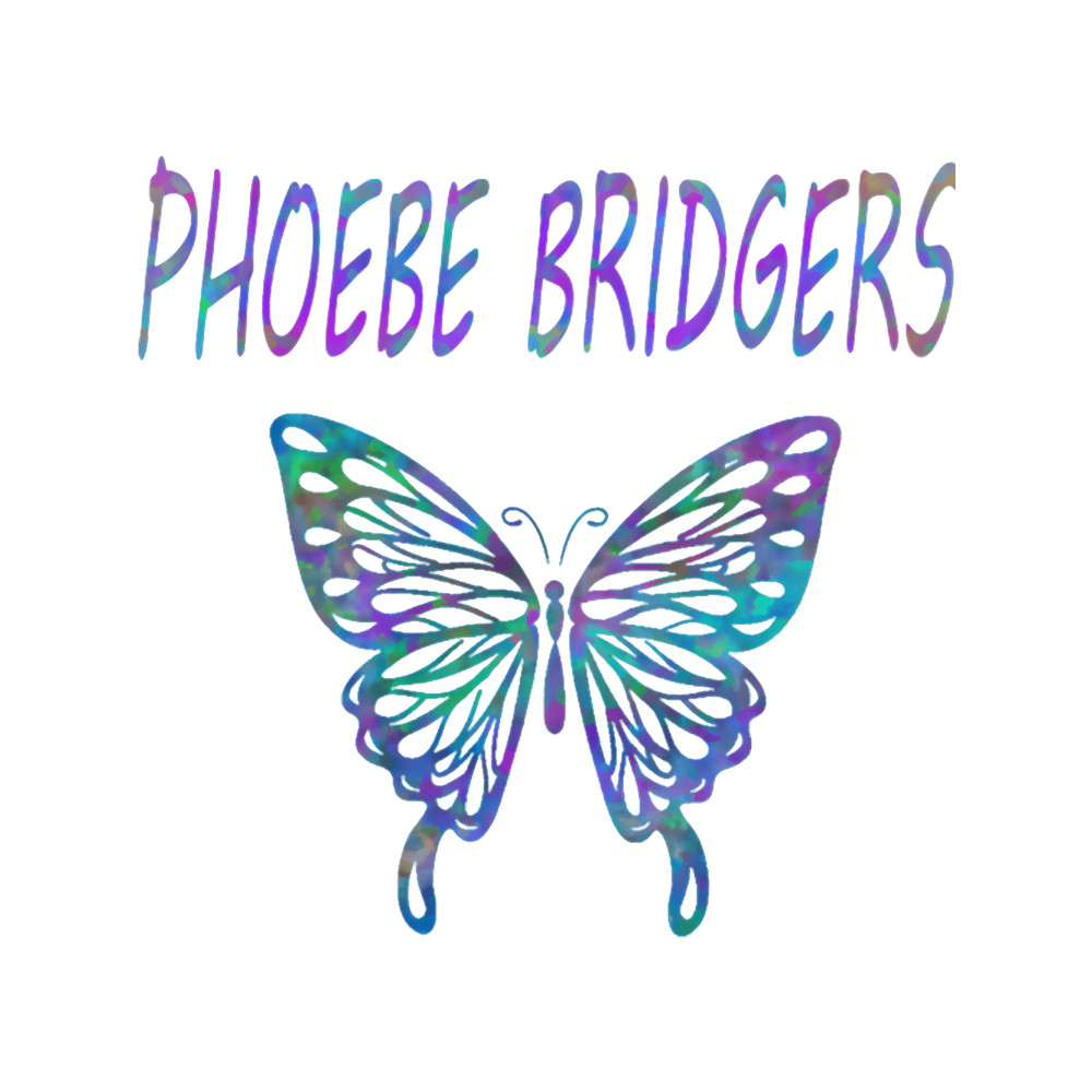 Phoebe Bridgers (5).png
