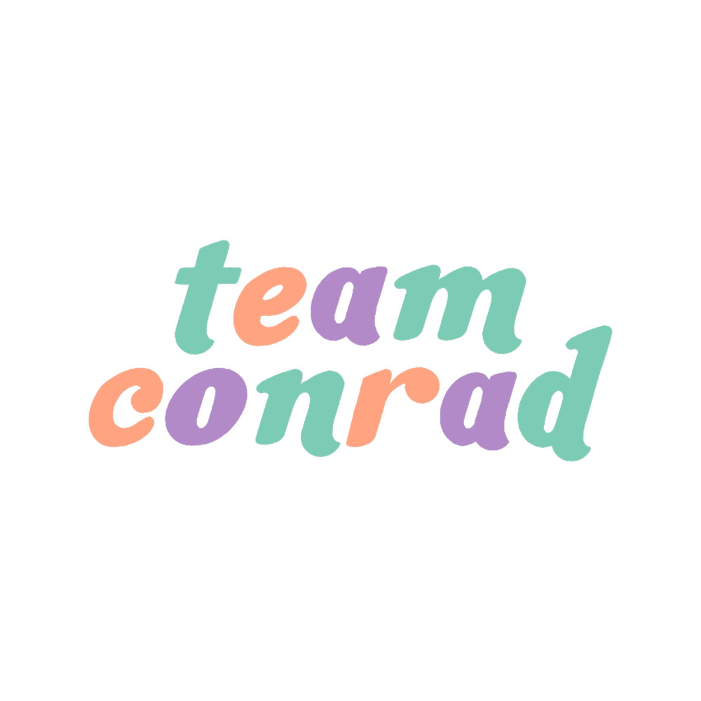 team conradthe summer i turned pretty.png