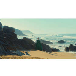 portrait of a lady on fire long