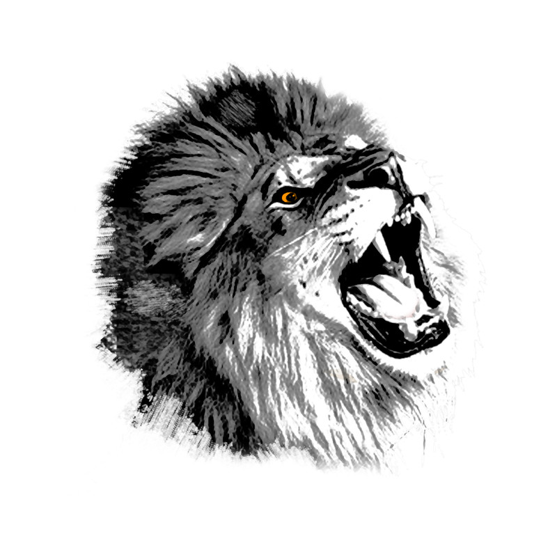 Lion illustration.png