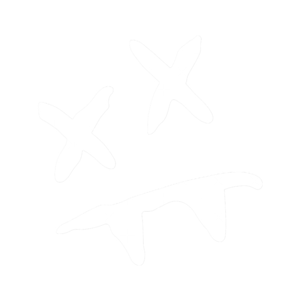 Steve Aoki Logo Fans .png