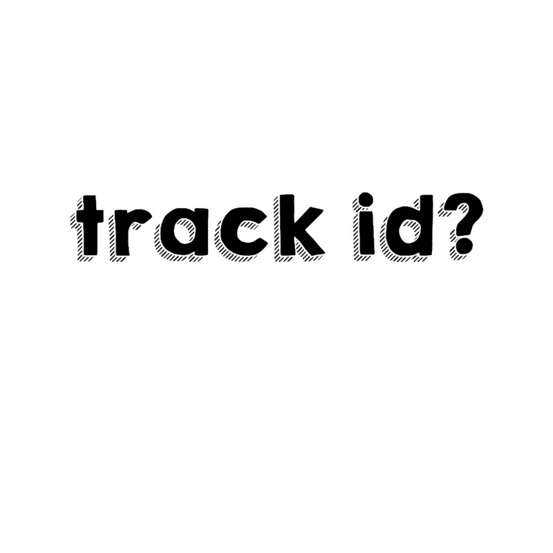 Track id Festival Rave.png