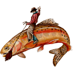 golden trout cowboy