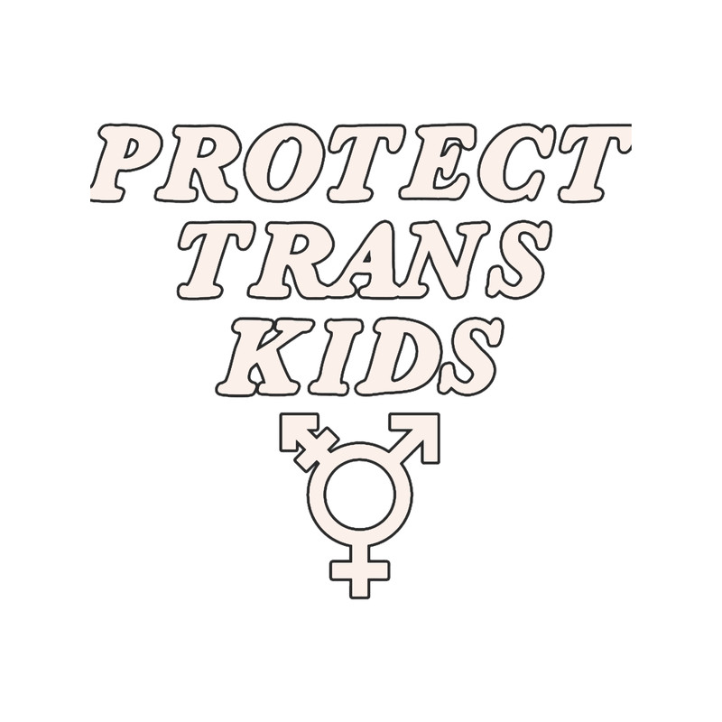 protect trans kids.png