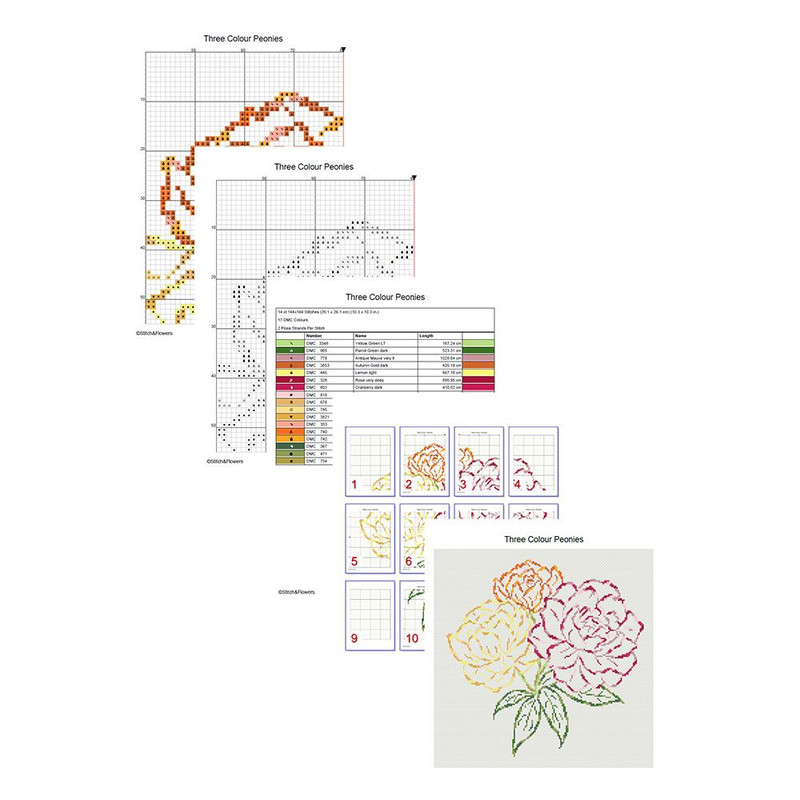 Cross Stitch Pattern Three Colour Peonies Instant PDF Download X Stitching 14ct Aida Embroidery DMC 1