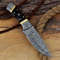 Handmade Damascus Knife HuntingBowieSkinner Knife One Of The Most Beautiful Damascus Hunting Knives Offered 4