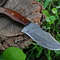 Custom Handmade Damascus Steel Hunting Knife Skinner Knife Fixed Blade Knife EDC Fixed Blade Knife For Outdoor 3