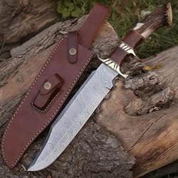 handmade damascus steel bowie knife. stag horn/antler, rose wood, brass handle and pure leather sheath. hunting knife