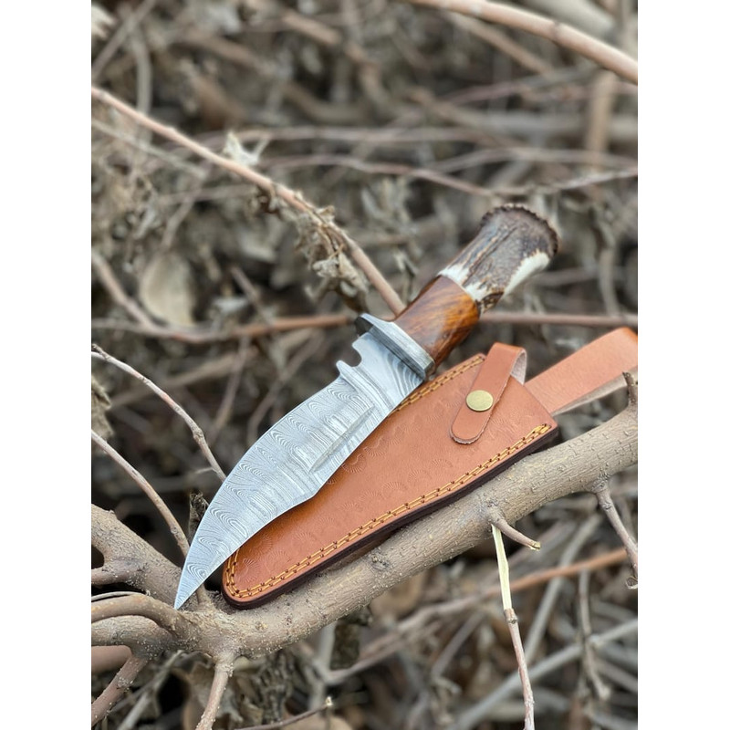 Damascus Steel Bowie Knife With The Handle Of Camel Bone And Stag Crown Viking Knife Stag Crown Camel Bone Engraved 6
