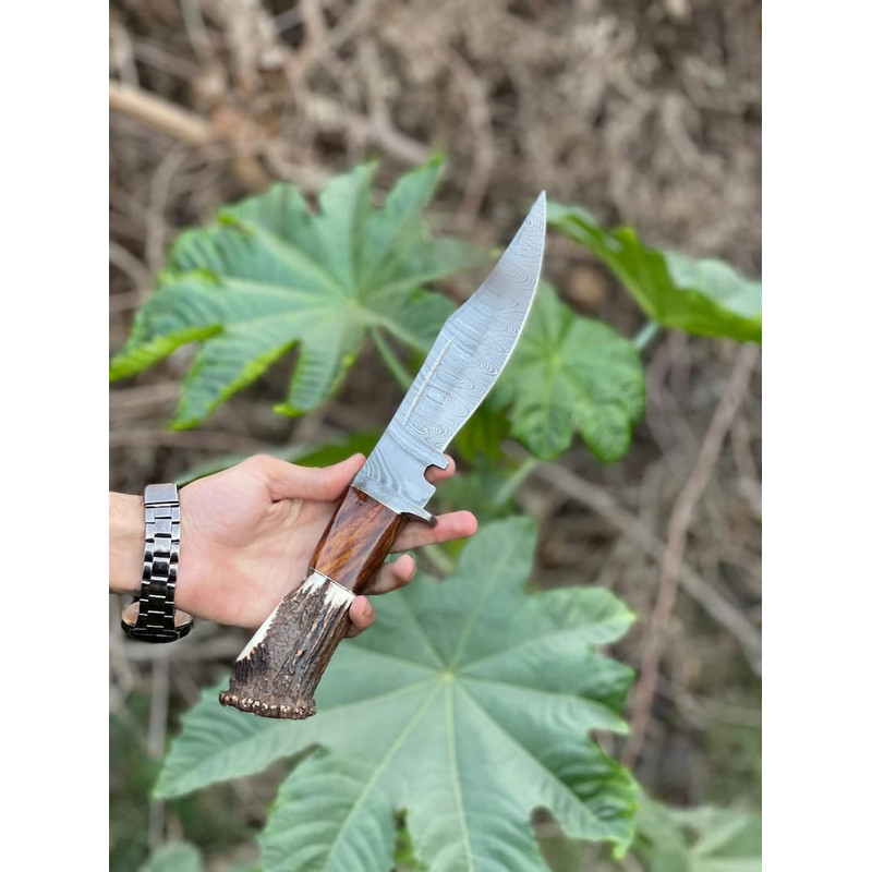 Damascus Steel Bowie Knife With The Handle Of Camel Bone And Stag Crown Viking Knife Stag Crown Camel Bone Engraved 0