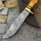 Custom Handmade Damascus Steel Bowie Hunting Knife Eagle Head Handle W Sheath 3