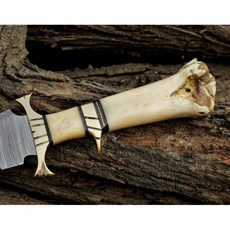155 Inches Personalized Damascus Steel Hunting Knife Camel Bone Handle Premium Leather Sheath Best 2