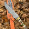 Premium Quality Handmade Damascus Steel Fixed Blade Bowie Knife Stag Handle Brass Guard 0