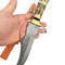 Premium Quality Handmade Damascus Steel Fixed Blade Bowie Knife Stag Handle Brass Guard 3