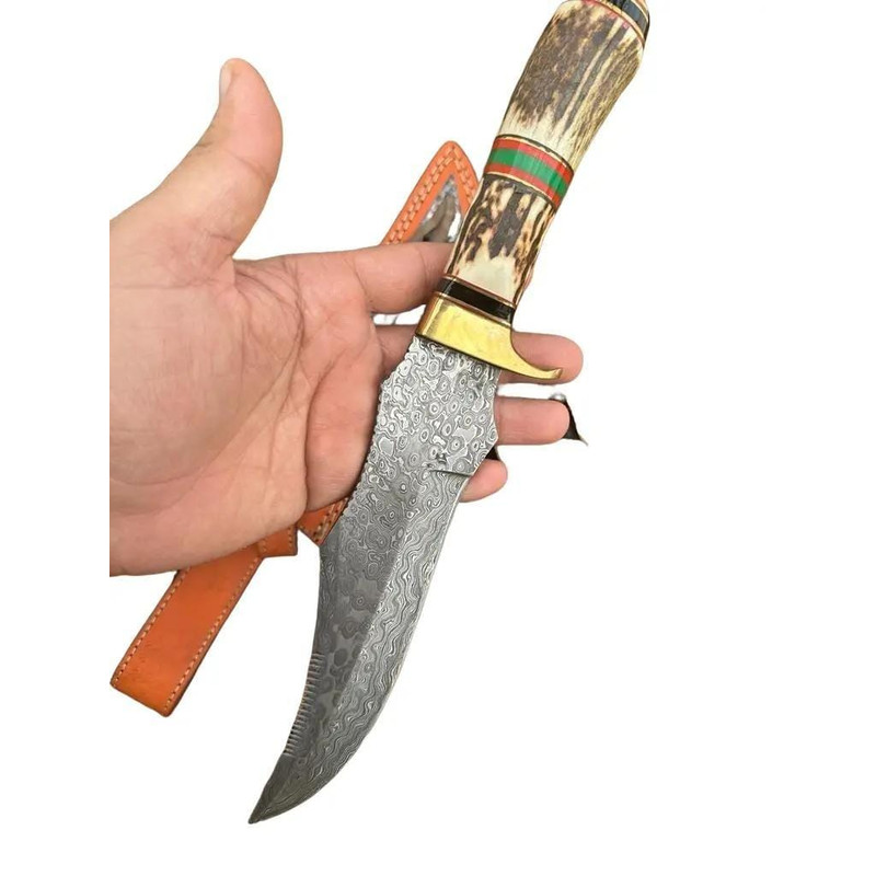 Premium Quality Handmade Damascus Steel Fixed Blade Bowie Knife Stag Handle Brass Guard 3
