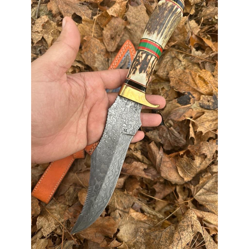 Premium Quality Handmade Damascus Steel Fixed Blade Bowie Knife Stag Handle Brass Guard 4